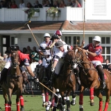 Polo, Commercial Wedding Photographers: Photoscience.co.uk